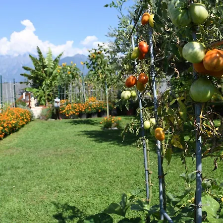 Il Giardino Dei Ciliegi * 科利科