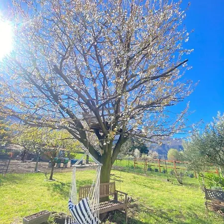 Apartamento Il Giardino Dei Ciliegi