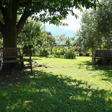 Il Giardino Dei Ciliegi Apartamento *