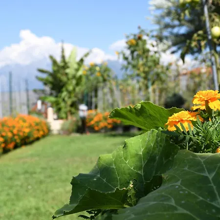 Apartamento Il Giardino Dei Ciliegi Colico