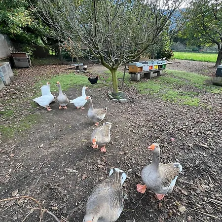 Il Giardino Dei Ciliegi Apartamento