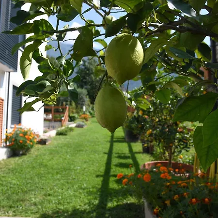Il Giardino Dei Ciliegi كوليكو