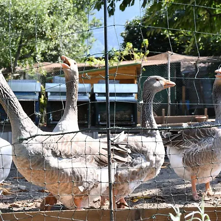 Il Giardino Dei Ciliegi